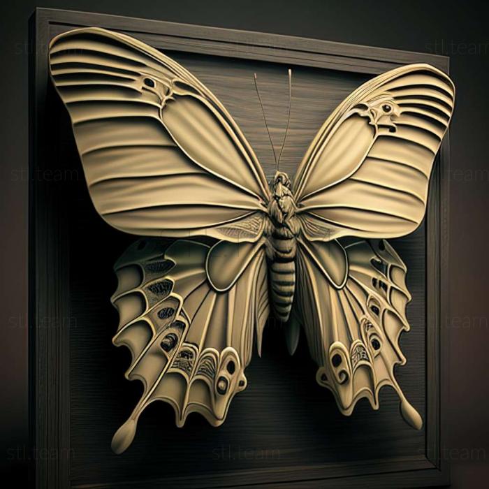 3D модель Papilio ascalaphus (STL)