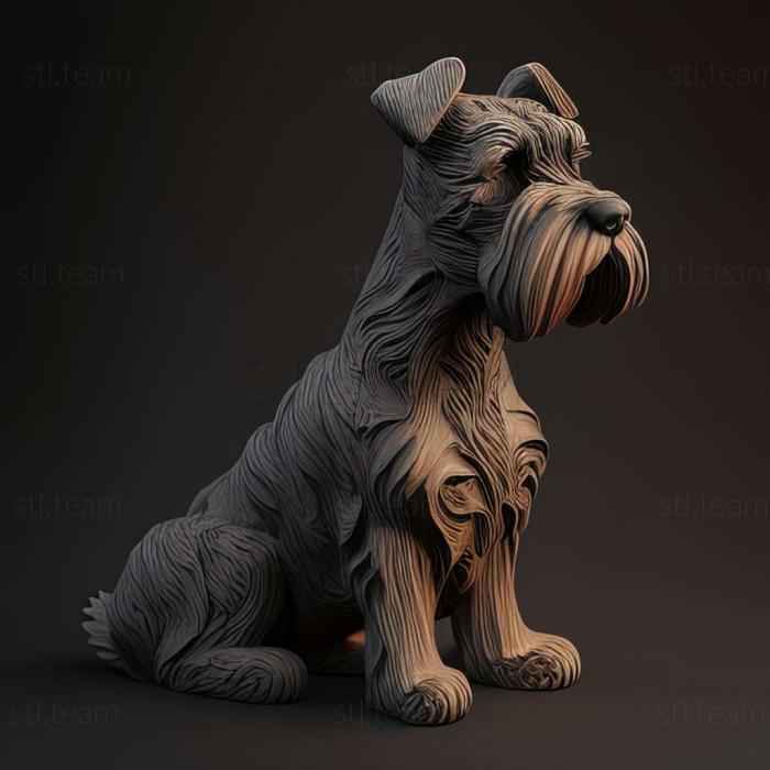 Zwergschnauzer dog