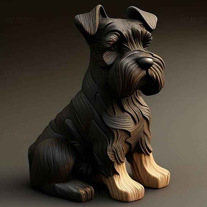 Zwergschnauzer dog