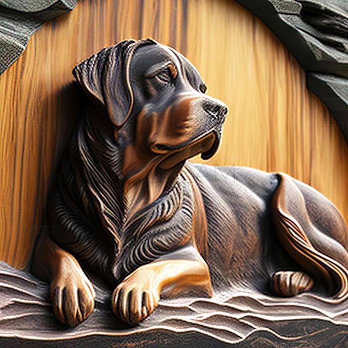 3D model Great Swiss Mountain dog (STL)