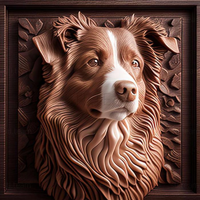 3D model Australian Shepherd dog (STL)