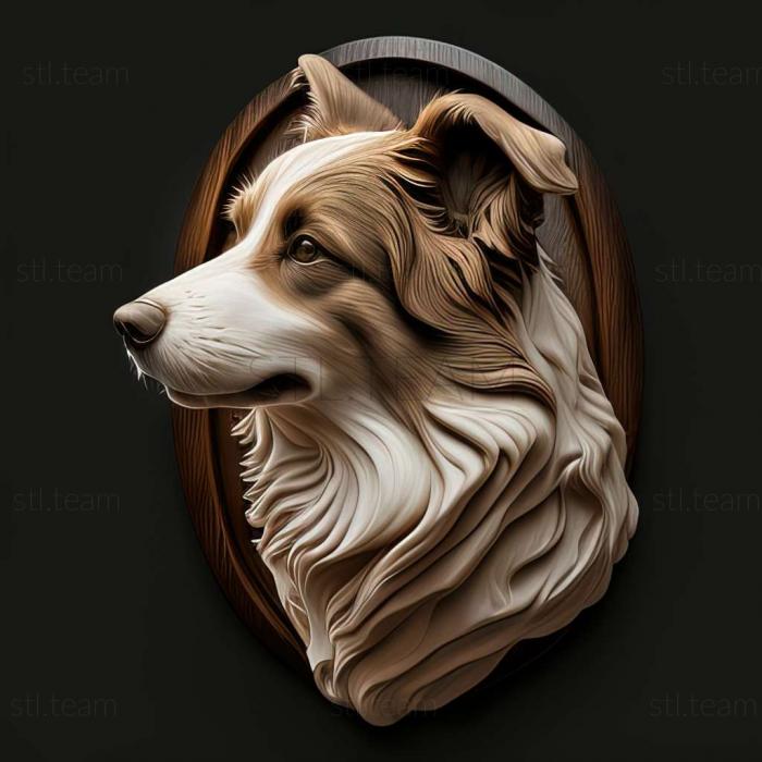 3D model English Shepherd dog (STL)