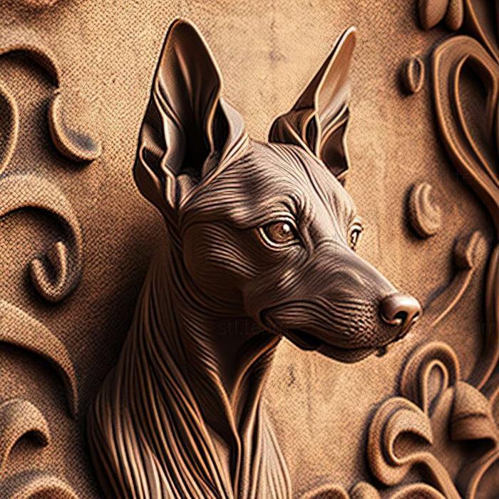 Animals Xoloitzcuintli dog