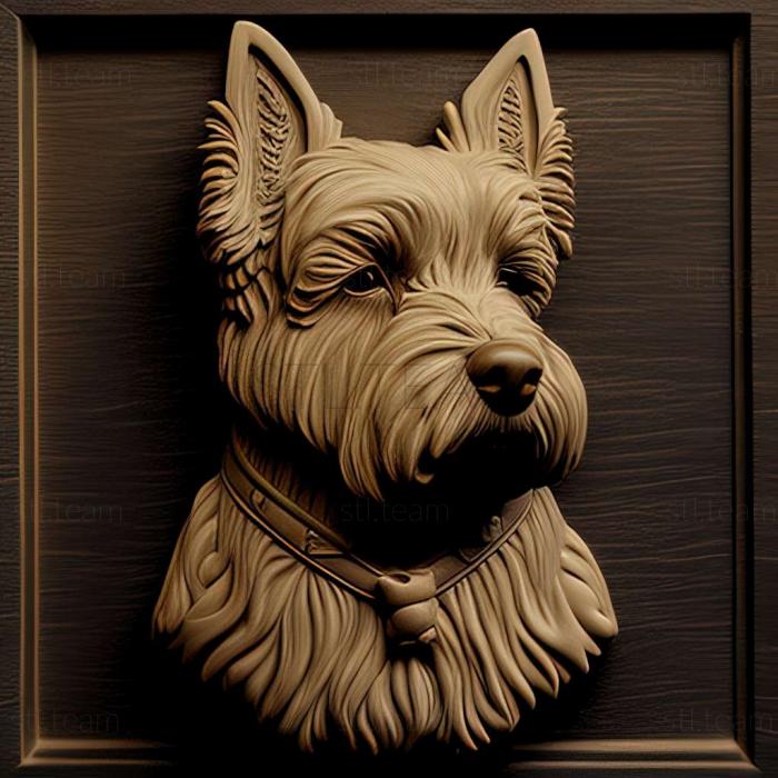 3D model Flanders Bouvier dog (STL)