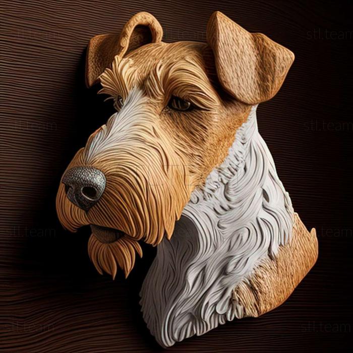 Wire  haired fox terrier dog