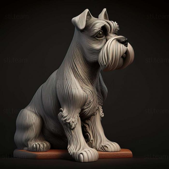 Zwergschnauzer dog