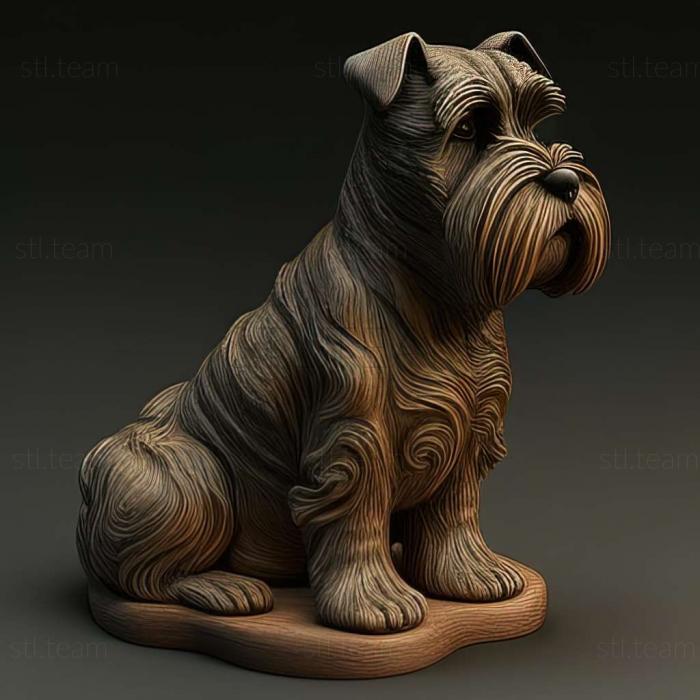 Zwergschnauzer dog