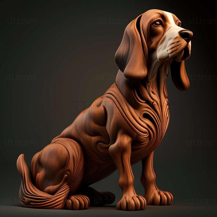 The Italian Hound dog