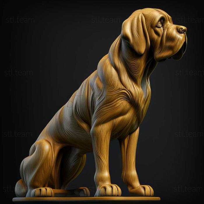 Spanish Mastiff dog
