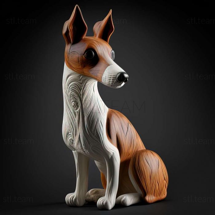Toy Fox Terrier dog