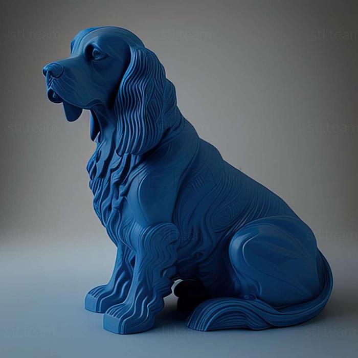 Blue Picardy Spaniel dog