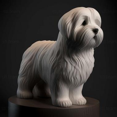 3D model Coton de tulear dog (STL)