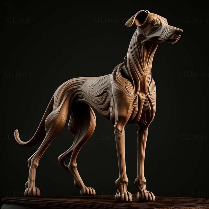 Russian Greyhound dog