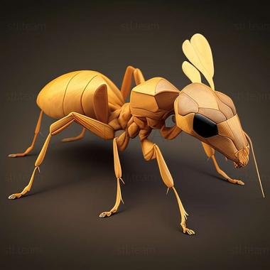 3D model Camponotus turkestanicus (STL)