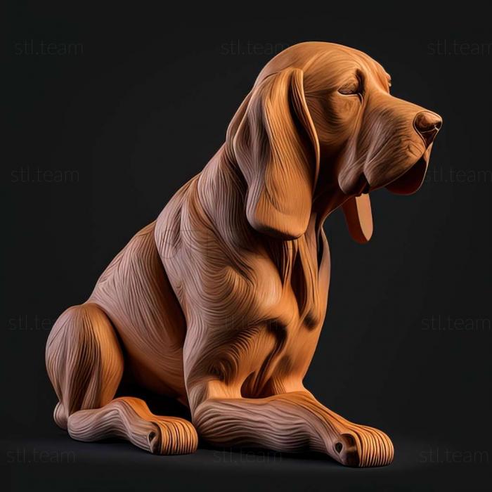 Animals Bavarian Mountain Hound dog