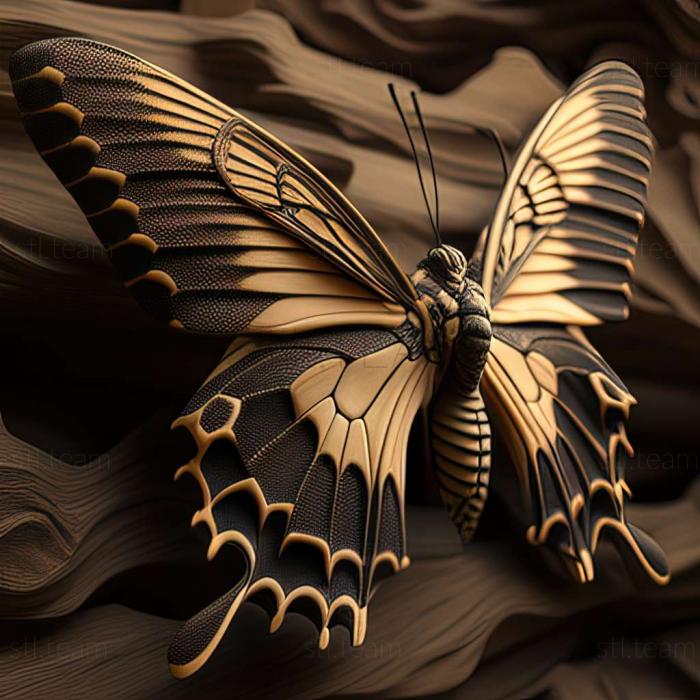 3D модель Papilio multicaudata (STL)