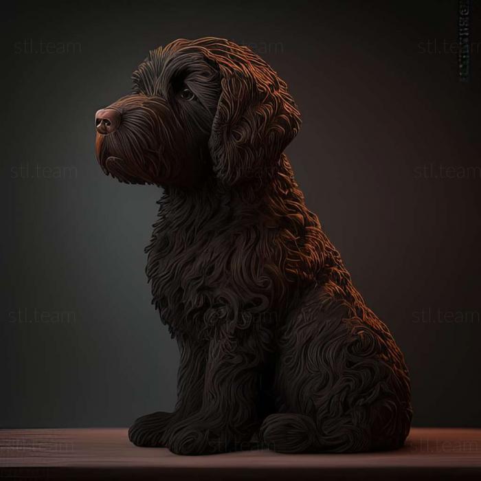 3D model Barbet dog breed dog (STL)