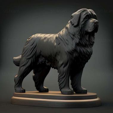 3D model Newfoundland dog breed dog (STL)