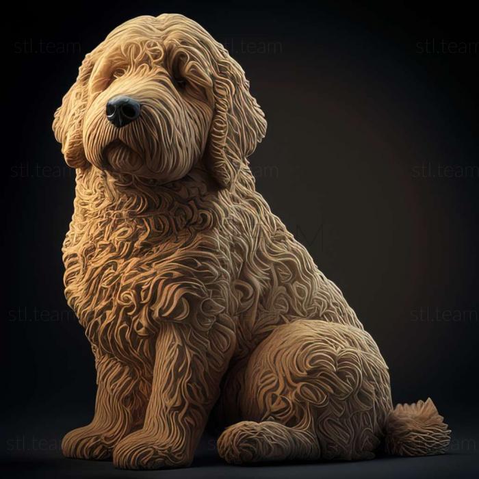 3D модель Собака породи барбет (STL)