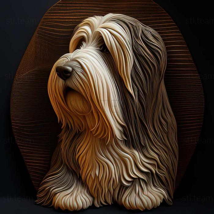 Animals Bearded Collie dog