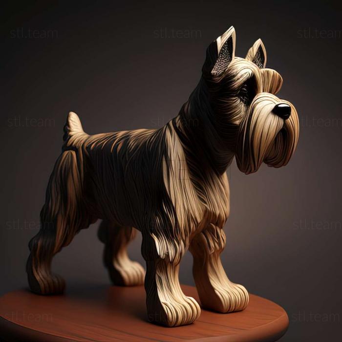 Zwergschnauzer dog