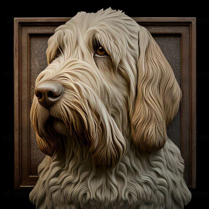 3D model Italian spinone dog (STL)