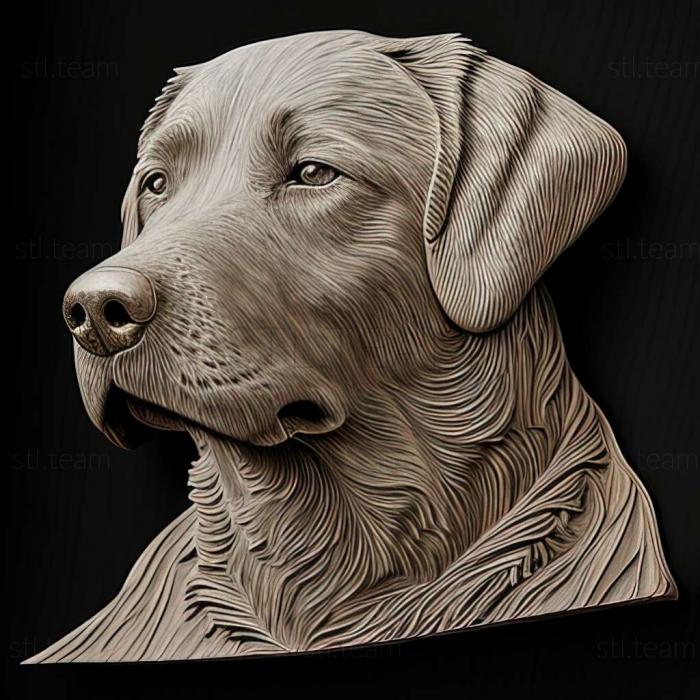 3D model Chesapeake Bay Retriever dog (STL)