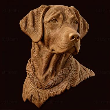 3D model Chesapeake Bay Retriever dog (STL)