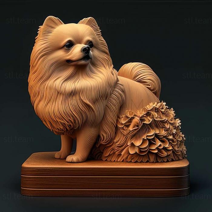 3D model Japanese Pomeranian dog (STL)