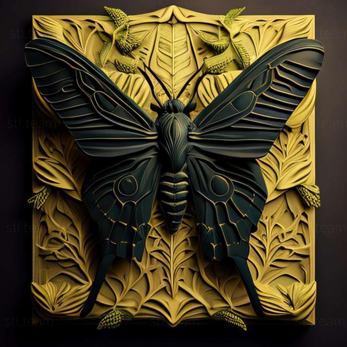 3D модель Ornithoptera allotei (STL)