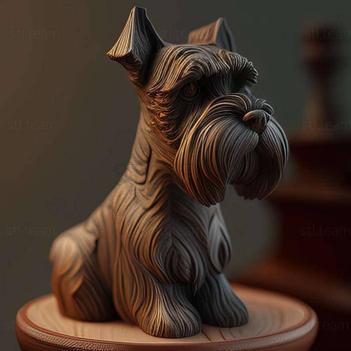 Zwergschnauzer dog