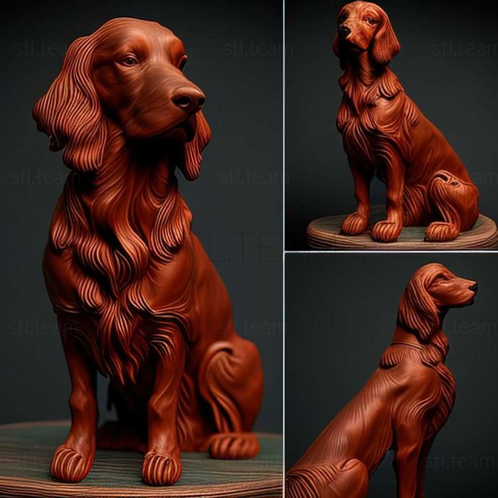 Animals Irish Red Setter dog