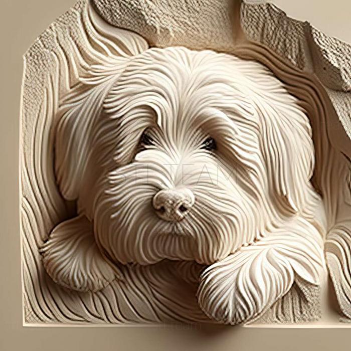 3D model Coton de tulear dog (STL)