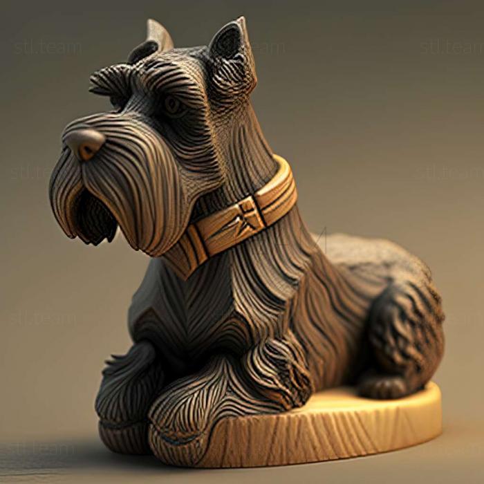 Zwergschnauzer dog