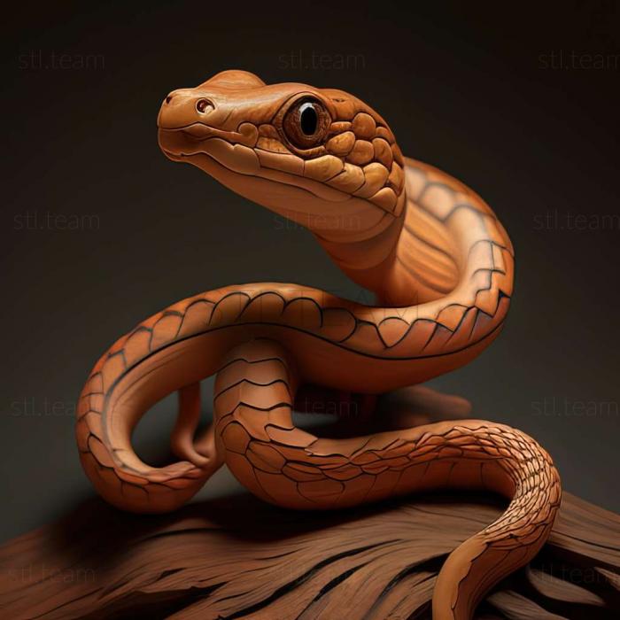 3D model Neophyllaphis gingerensis (STL)