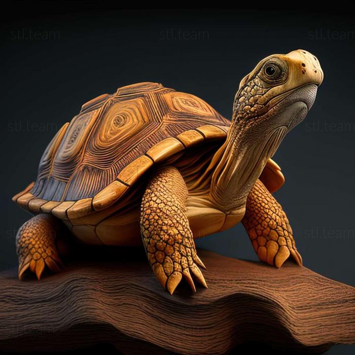 3D модель Cubanops tortuguilla (STL)