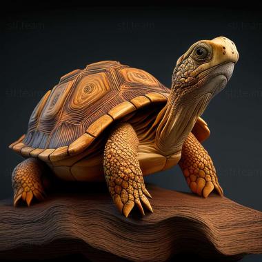 3D модель Кубанопс черепаховый (STL)