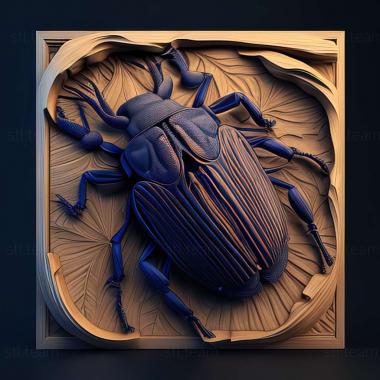 3D модель Onthophagus verticicornis (STL)