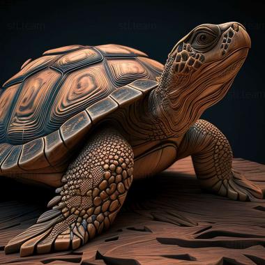 3D model Centrochelys atlantica (STL)