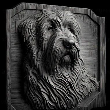 3D model Pyrenean Shepherd dog (STL)