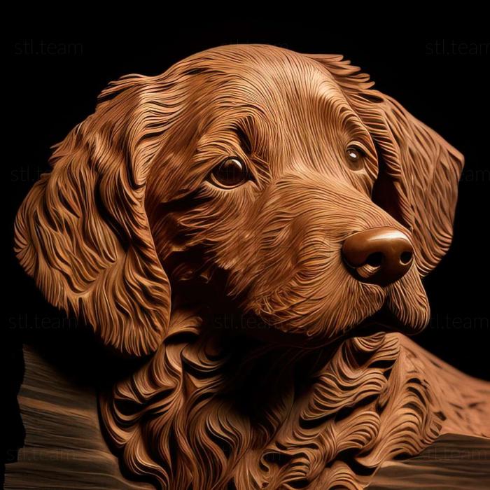 3D model Curly  haired retriever dog (STL)