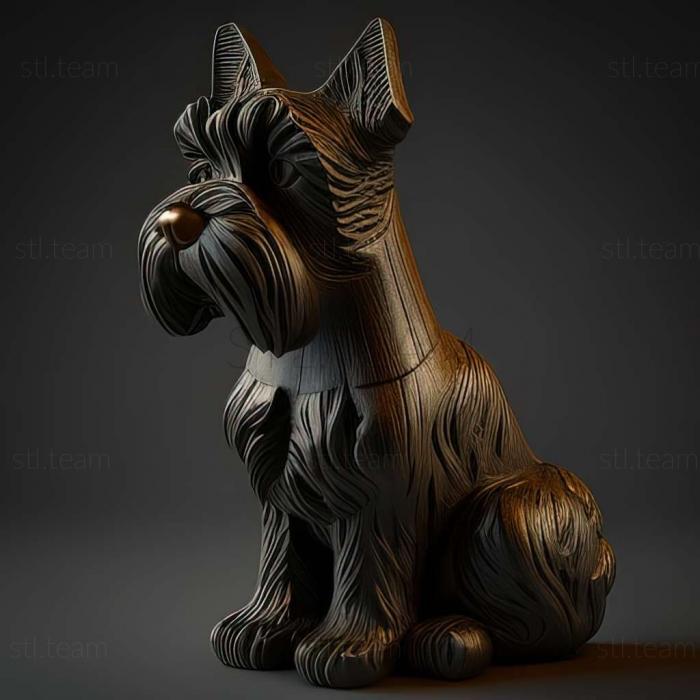 Zwergschnauzer dog