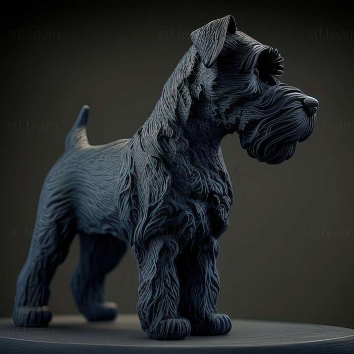 Kerry Blue Terrier dog