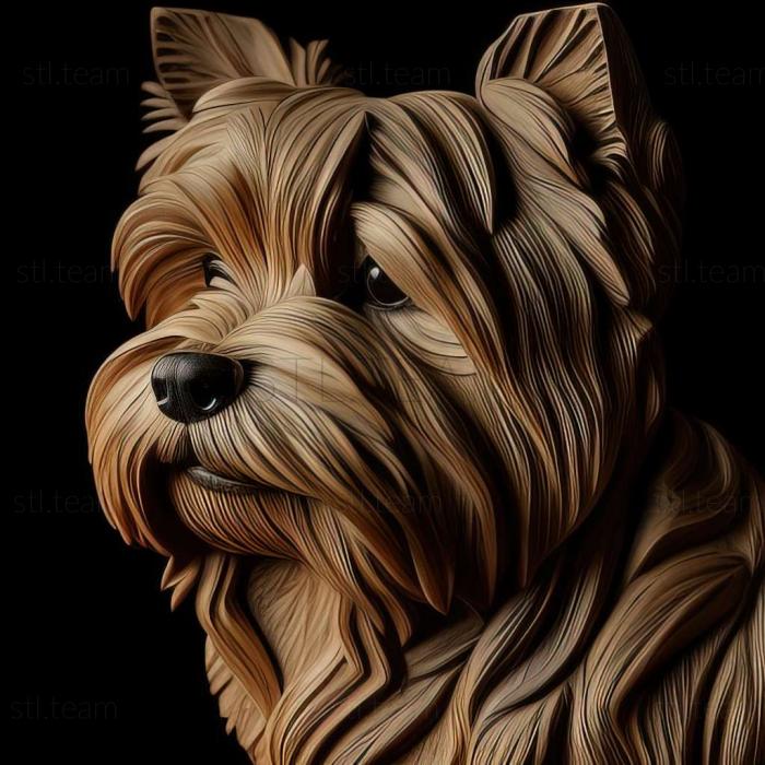 Yorkshire Terrier dog