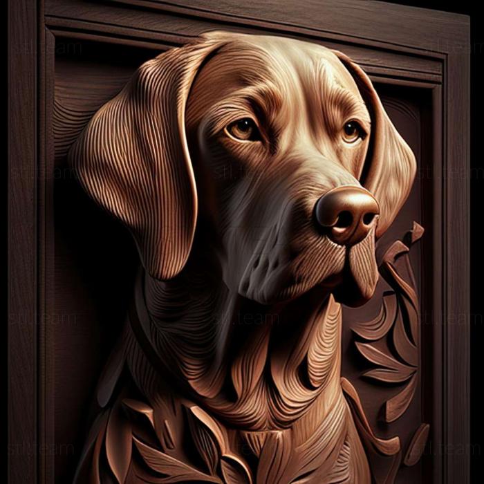 3D модель Знаменита тварина пес Баррі (STL)