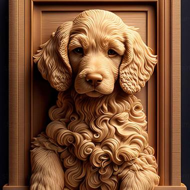 3D model Boy poodle famous animal (STL)