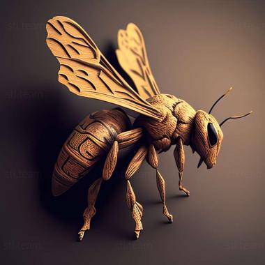 3D model Lasioglossum austerum (STL)