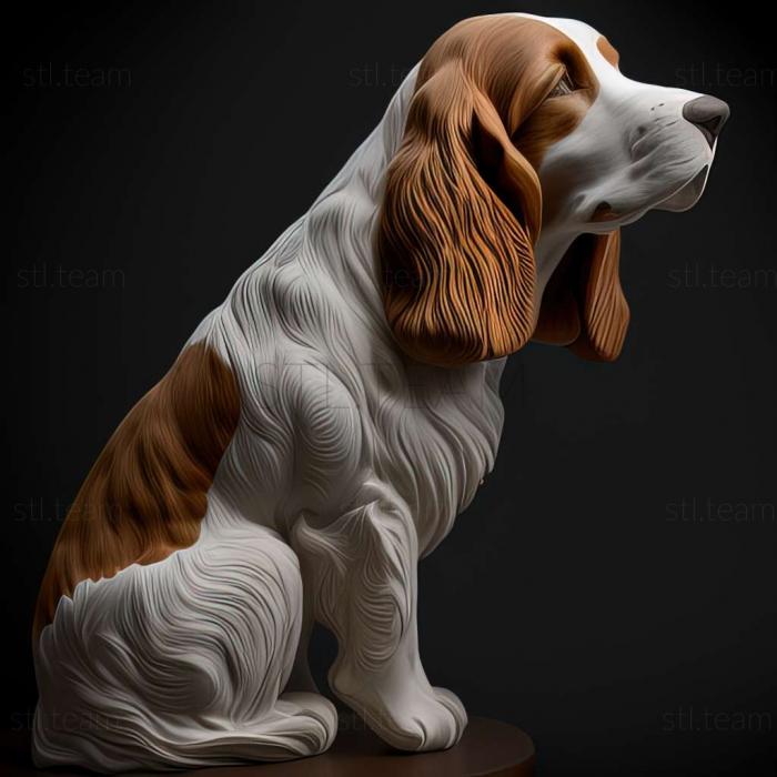 3D model Welsh Springer Spaniel dog (STL)