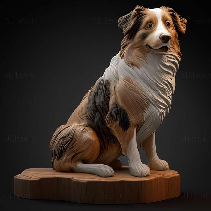 3D model Australian Shepherd dog (STL)