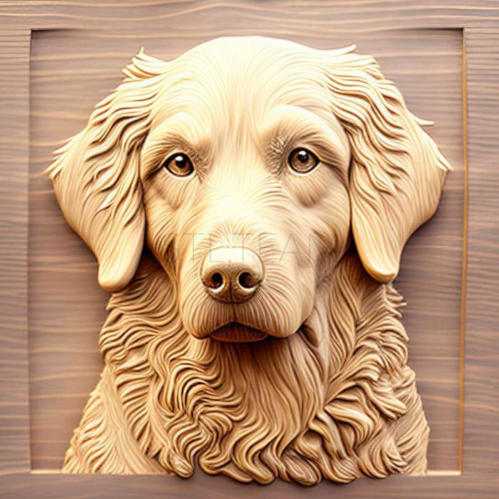 3D модель Кучерява собака ретрівер (STL)